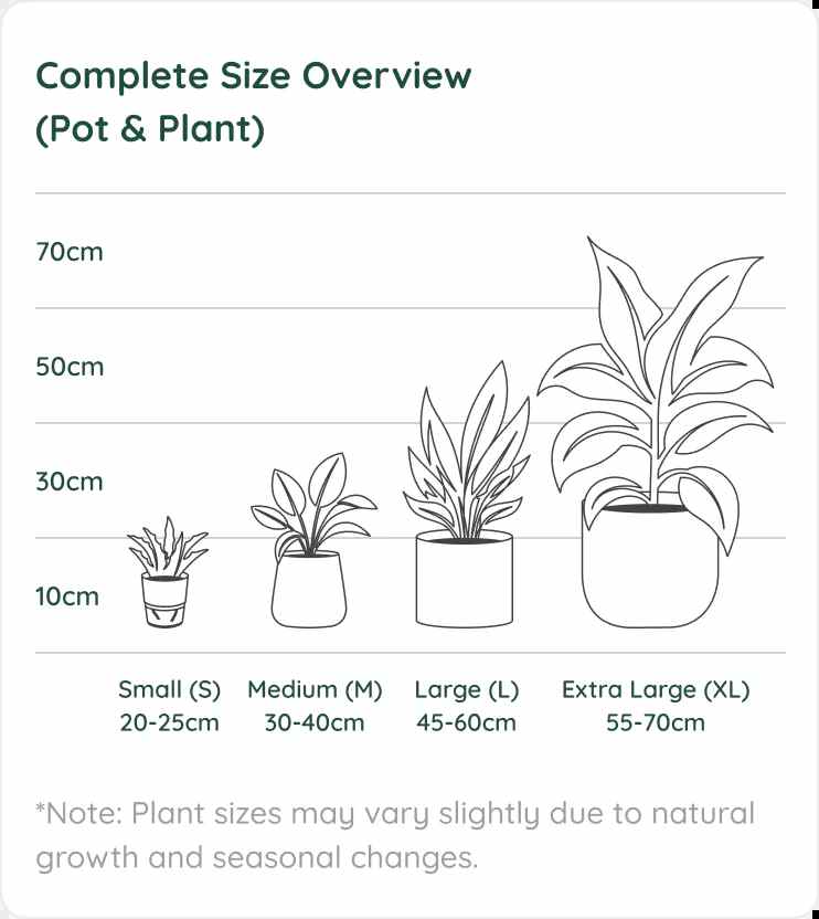 Plant Size Chart